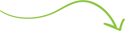 Vector